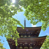 新緑の寺