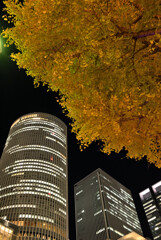 夜に色付く