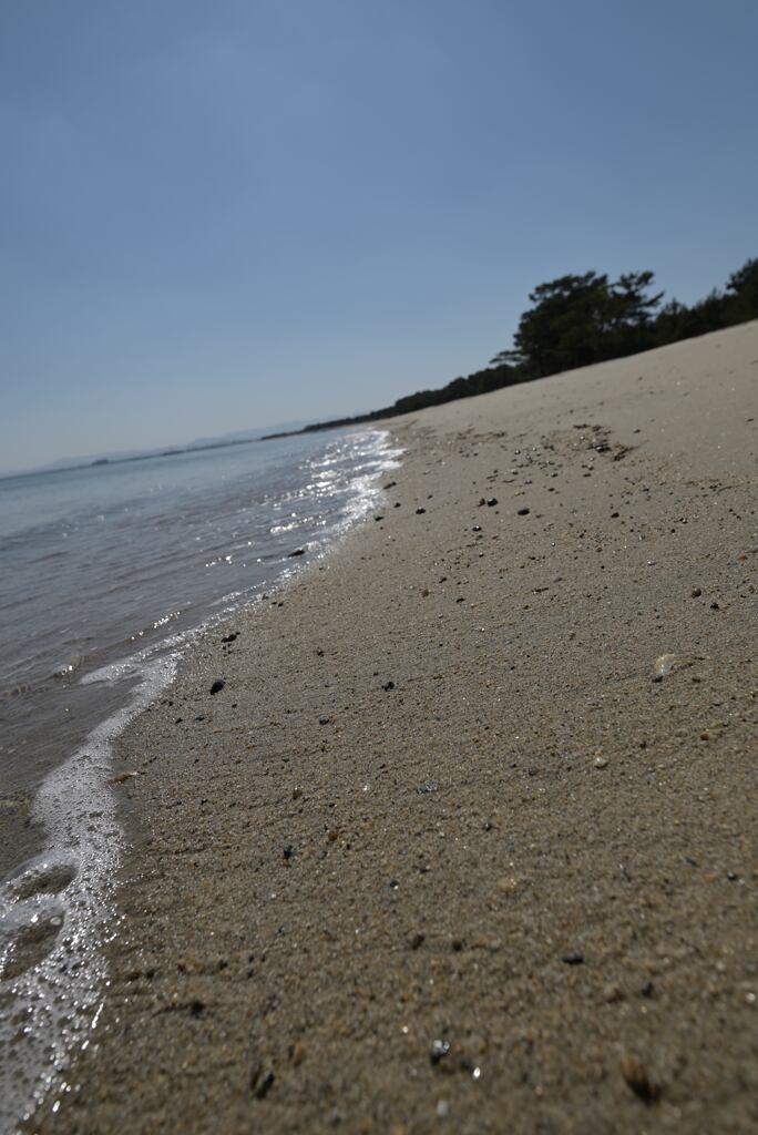 春の海岸散歩