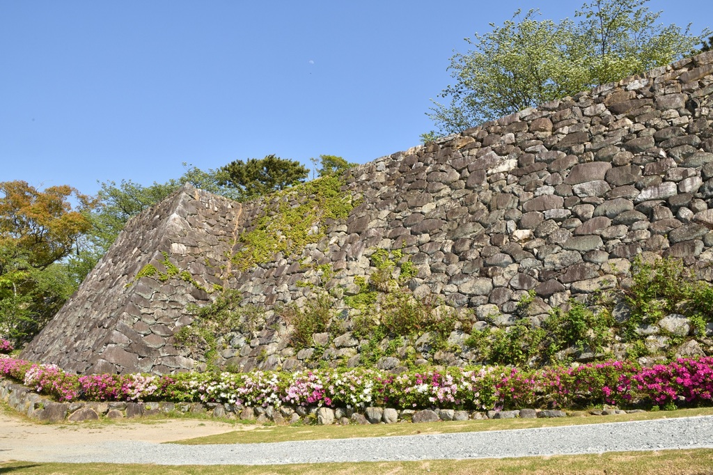 石垣