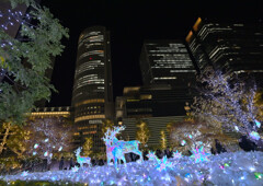 ビル街のクリスマス