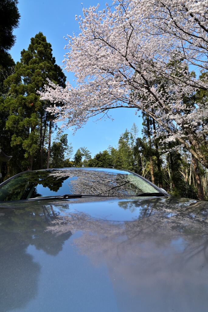 空を映す愛車