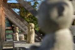 おぼこ