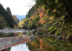 紅葉渓谷独り占め