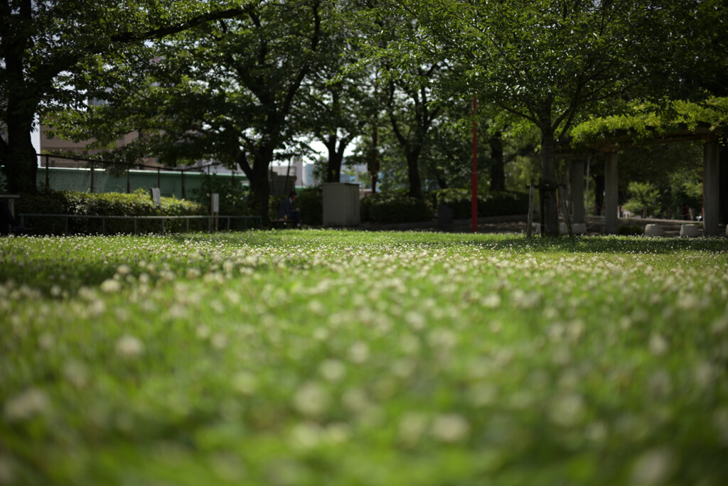 都会の公園