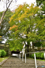 山寺