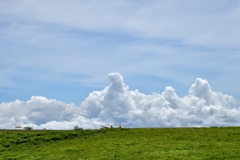 夏空