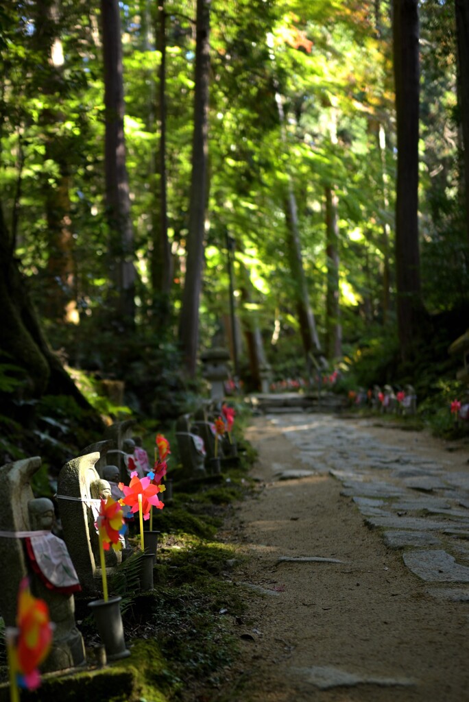 日の当たる場所