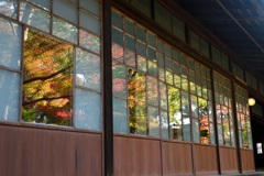 変則紅葉狩り
