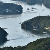 帰港