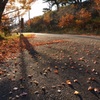 お山の紅葉