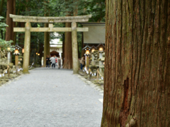 参道