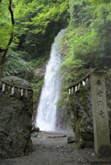 養老の滝近景