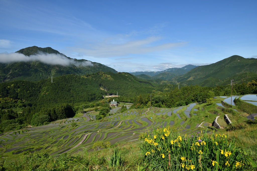 丸山千枚田