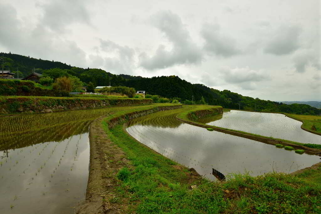 山村の流線美