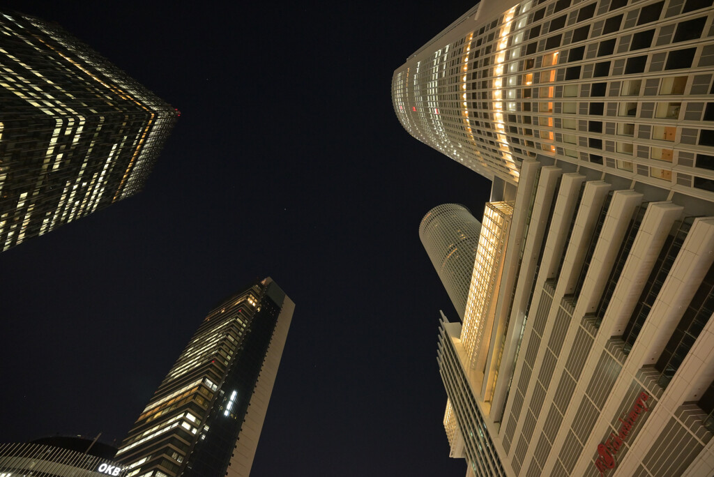 見上げたurban night