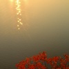キラキラ☆夕日
