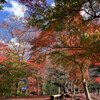 秋晴れの紅葉名所