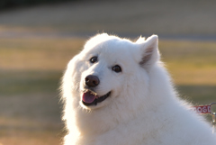 最高の笑顔