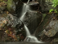 庭滝 神社 境内 池