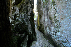 参道