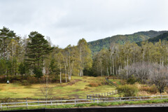 高原の牧場