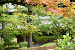 秋へ