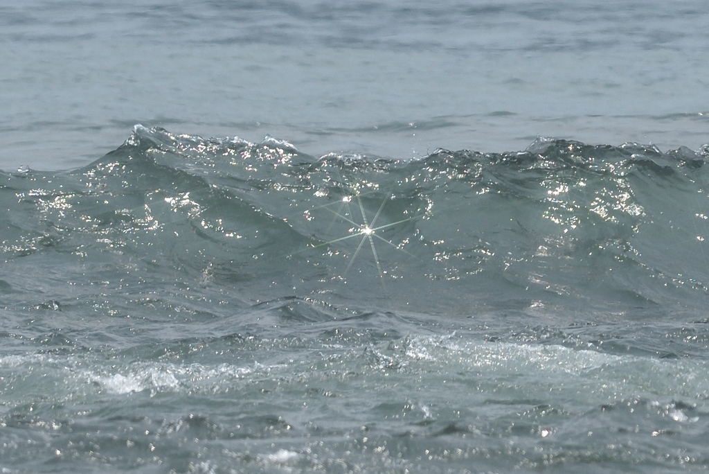 光る海