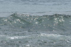 光る海