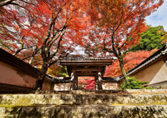 艶やかな山門