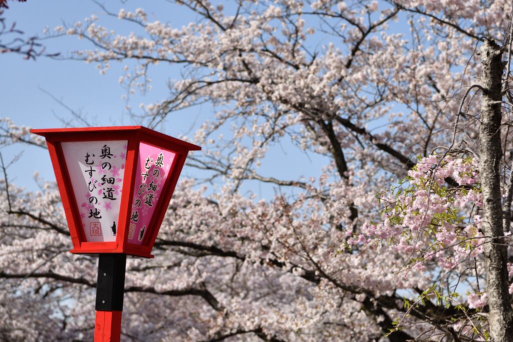 奥の細道むすびの地