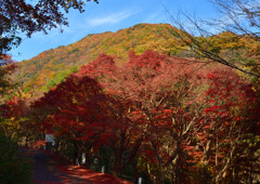 艶やかな山