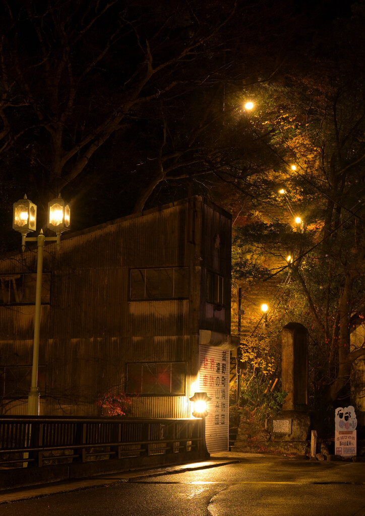 夜の湯の山温泉散策