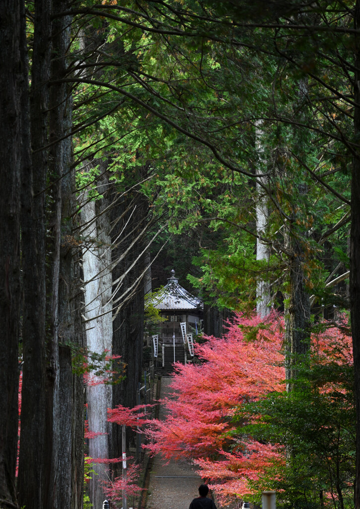 荘厳