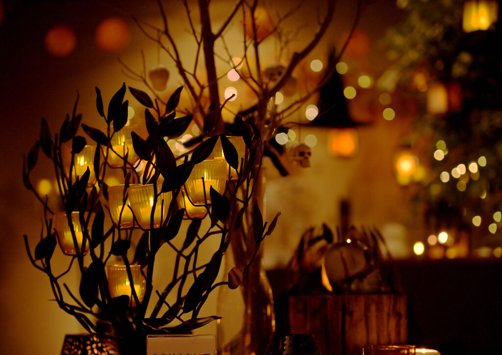 ハロウィン キャンドルナイト 樹