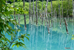 水鏡