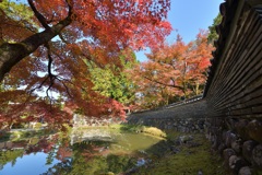 お寺の紅葉