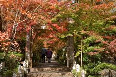 紅葉参り