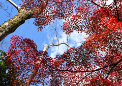 間隙