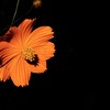 Flower tone