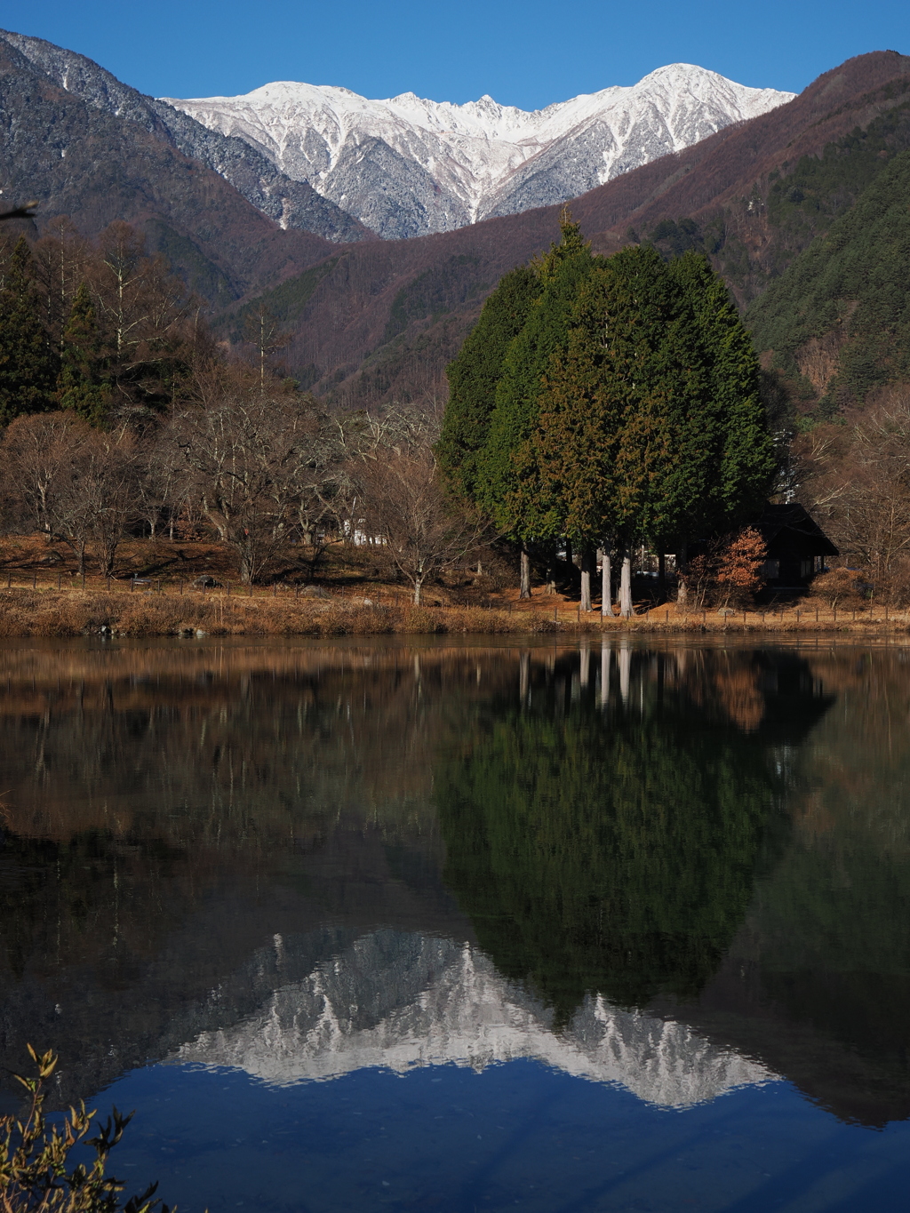 駒ヶ池に映える駒ヶ岳
