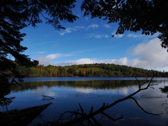 色付き始めた白駒池