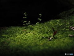 光射す小さな舞台で大きく手を伸ばして