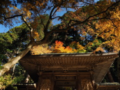 百済寺山門を飾る秋色