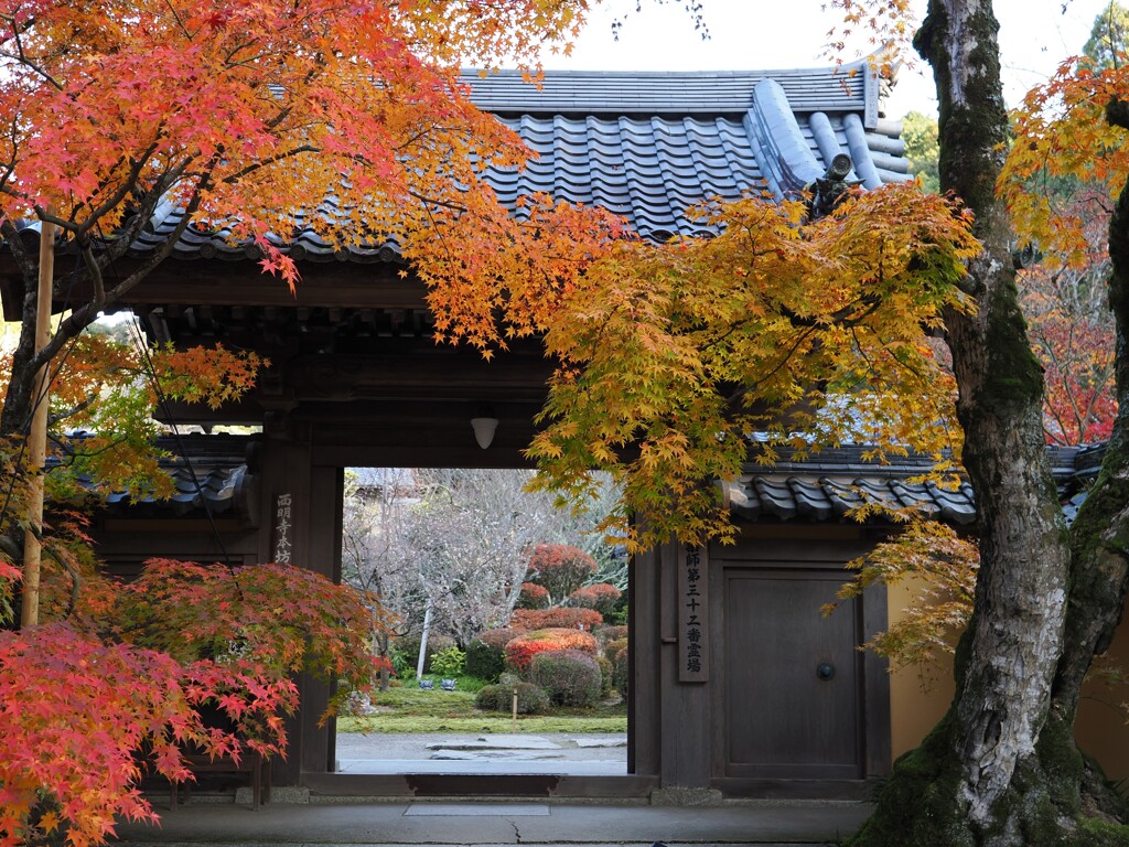 湖東三山　西明寺にて