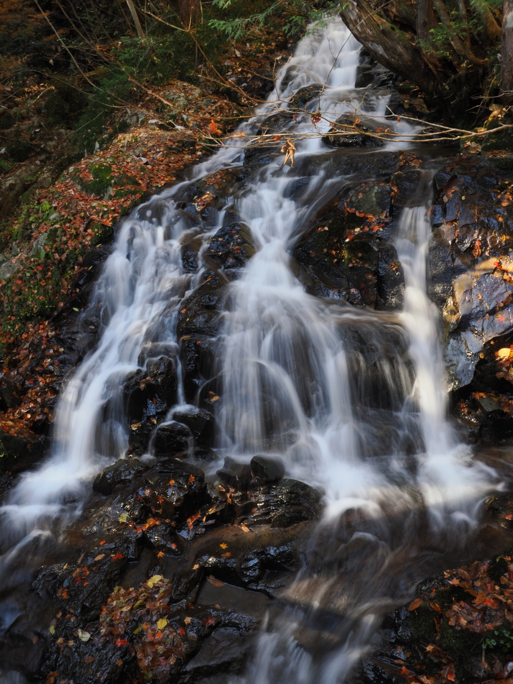 紅葉の山を走り抜ける水流