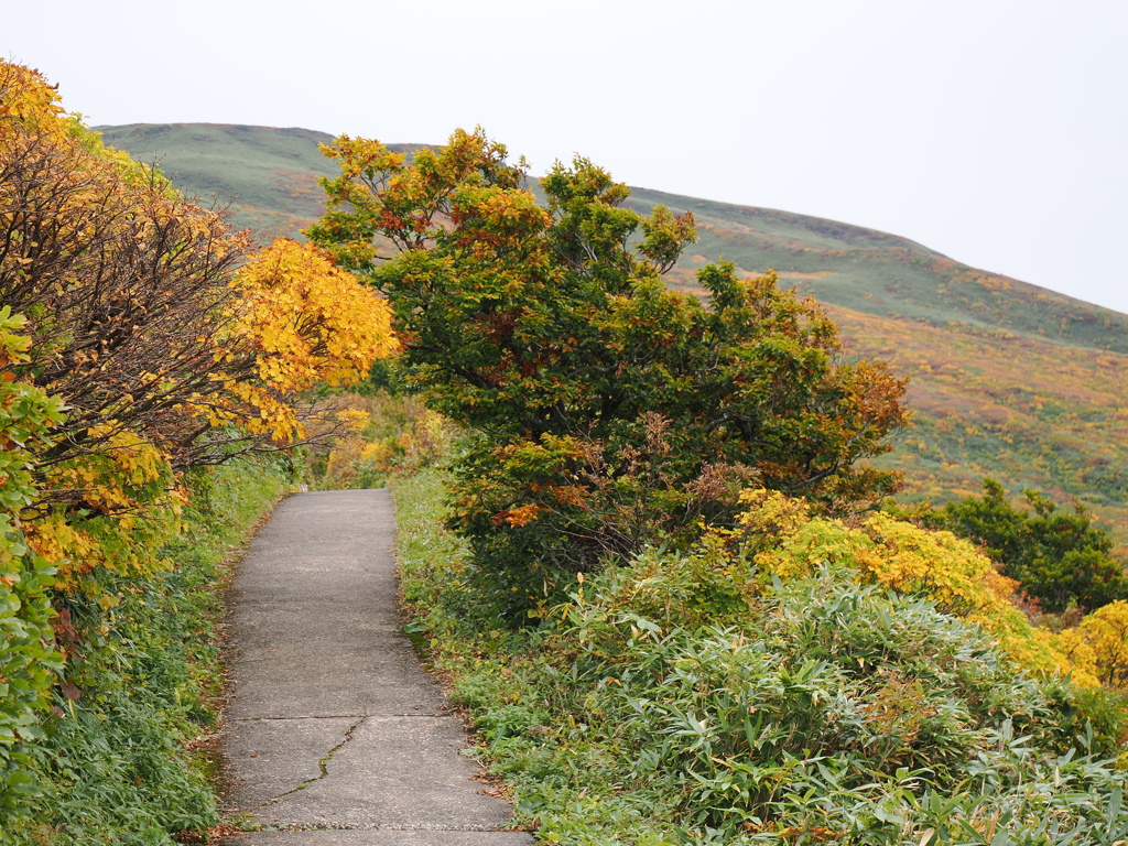 鳥海山の紅葉に分け入る第一歩