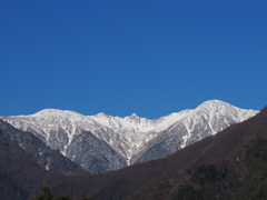 遥かに雪を頂く千畳敷を望む