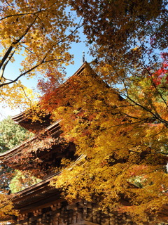 黄金を纏う三重塔