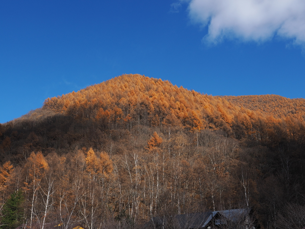 燃え上がるような山肌